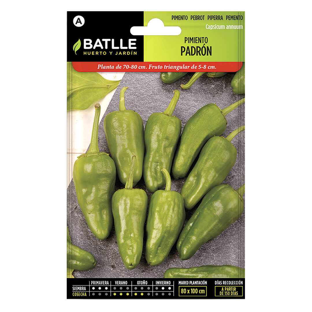 PIMIENTO PADRON