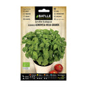 Semilla ecologica albahaca gigante genovesa