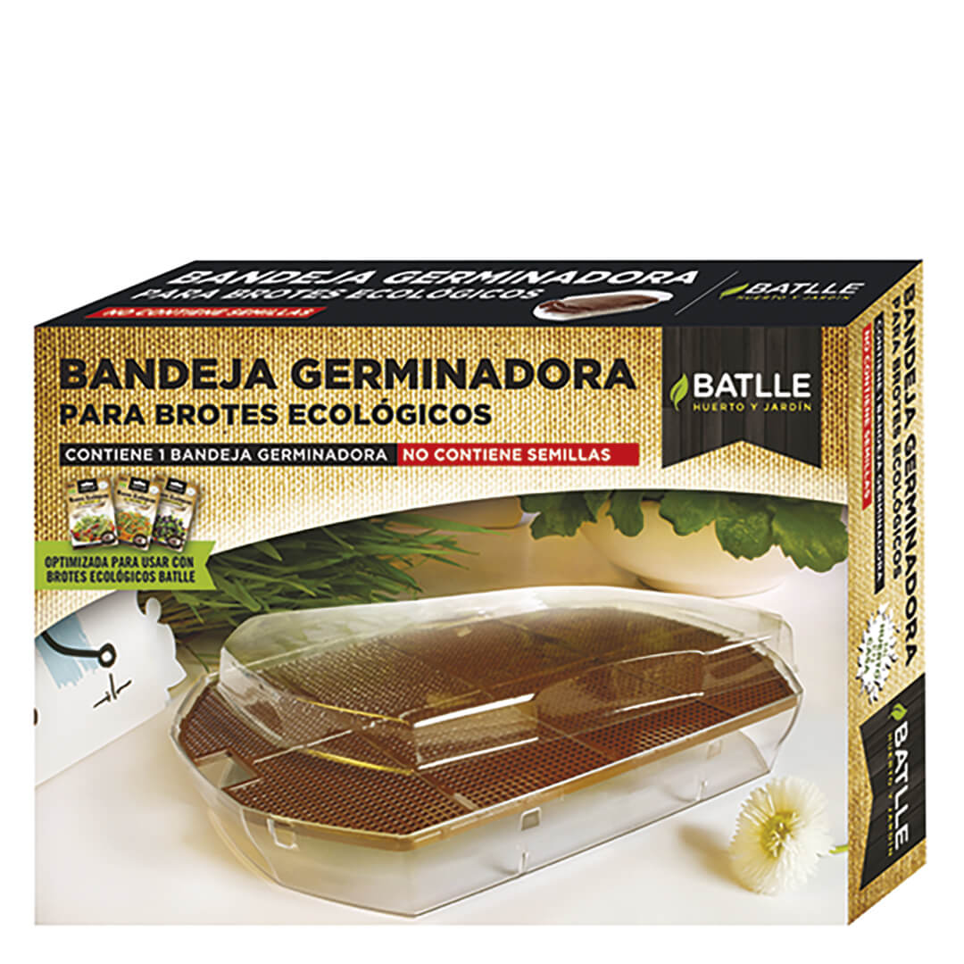 BROTES KIT GERMINA FACIL