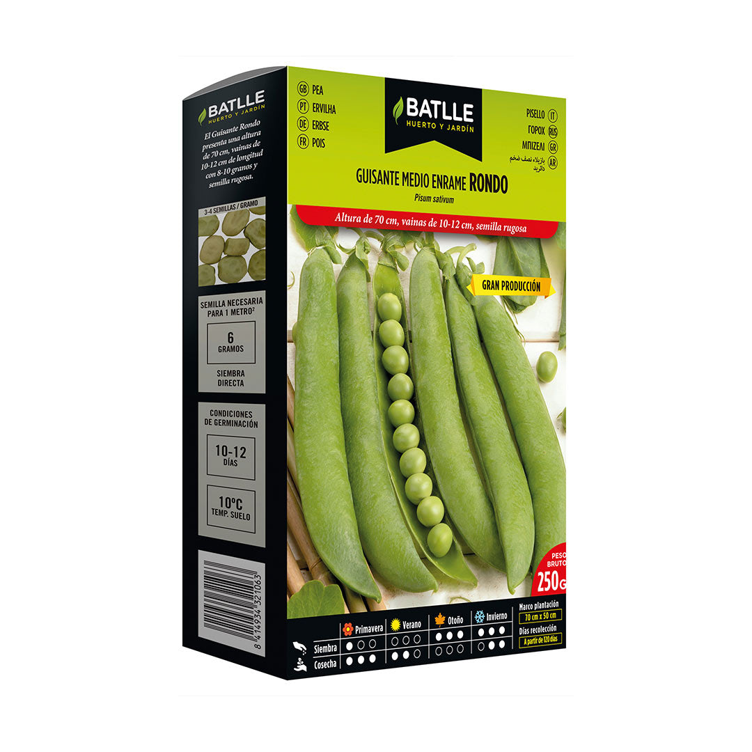 Semilla ecologica guisante rondo medio enrame
