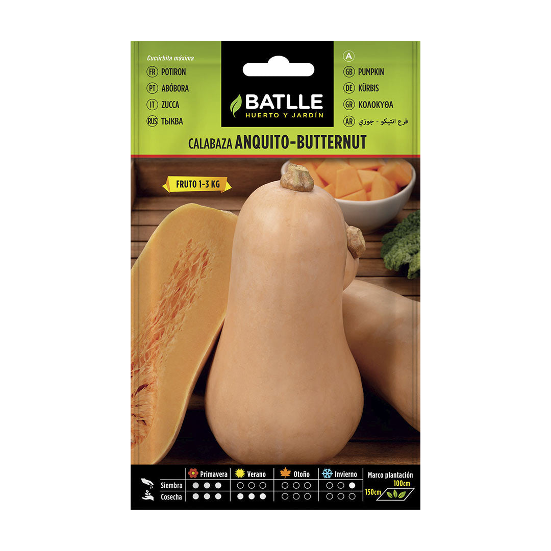 Semilla ecologica calabaza butternut