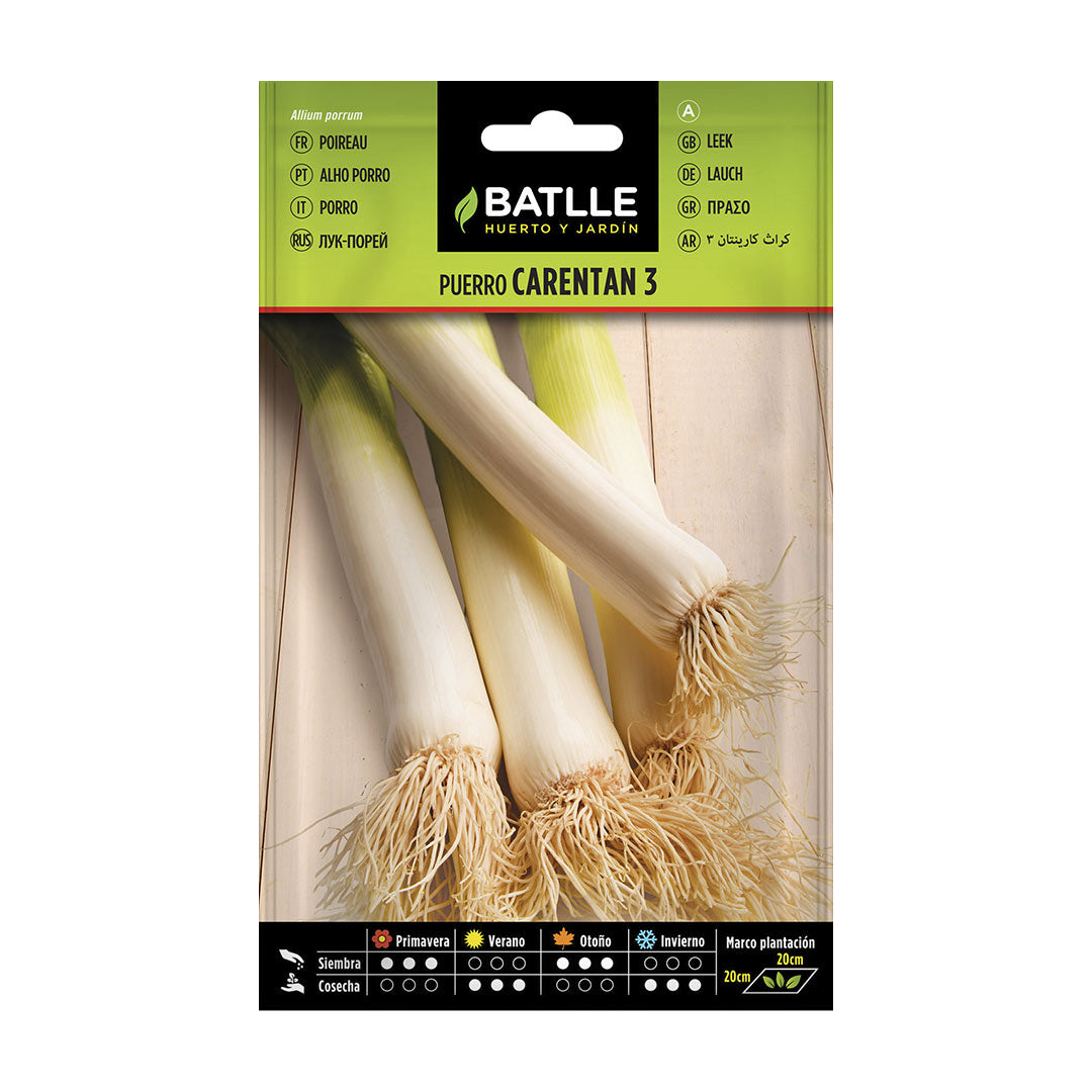 Semilla ecologica puerro grueso de carentan 3