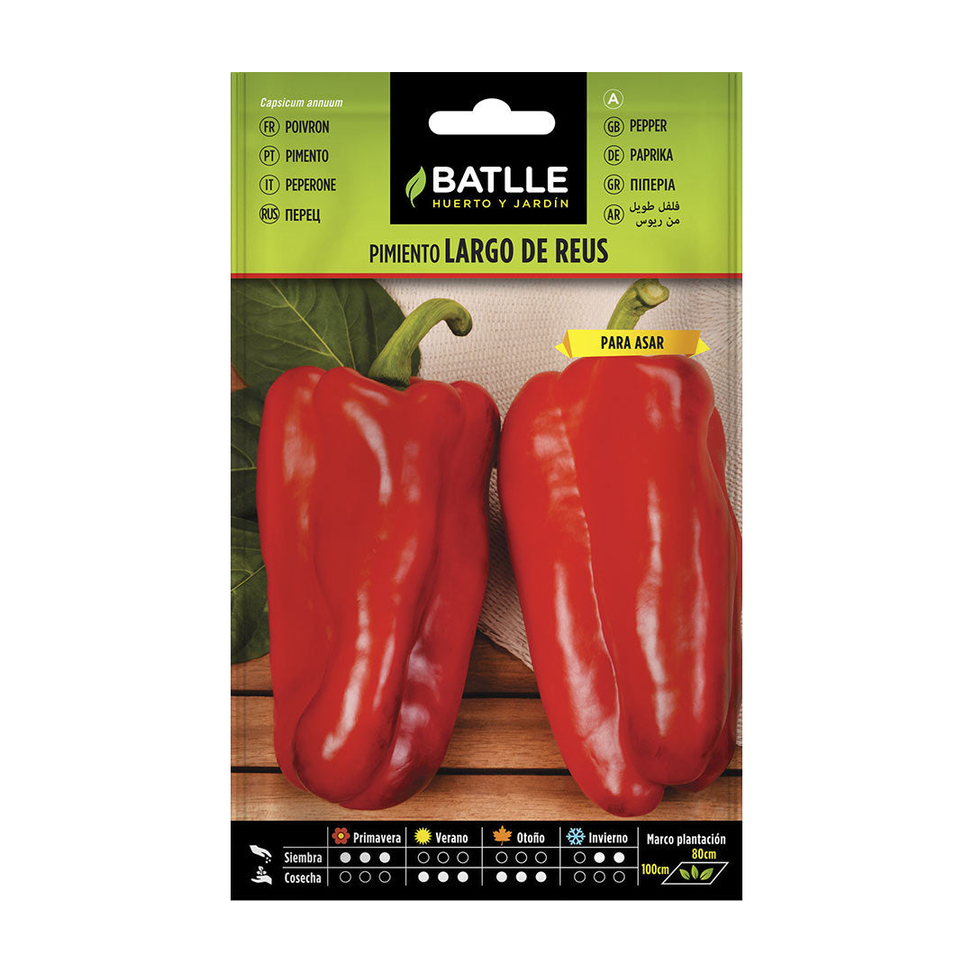 Semilla ecologica pimiento largo de reus