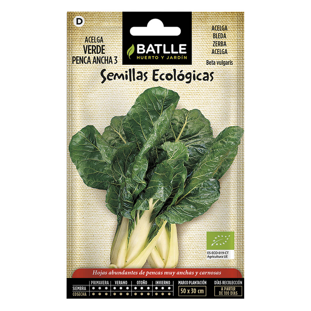 BIETOLA VERDE A GAMBI LARGHI 3 ECO