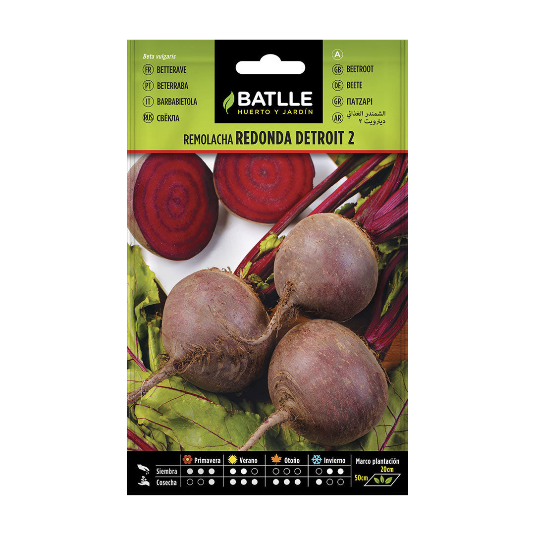 Semilla ecologica remolacha detroit 2