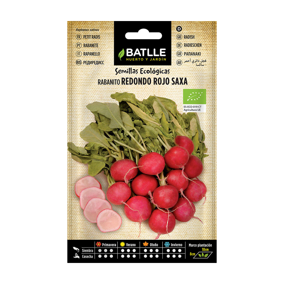 Semilla ecologica rabanito redondo rojo saxa