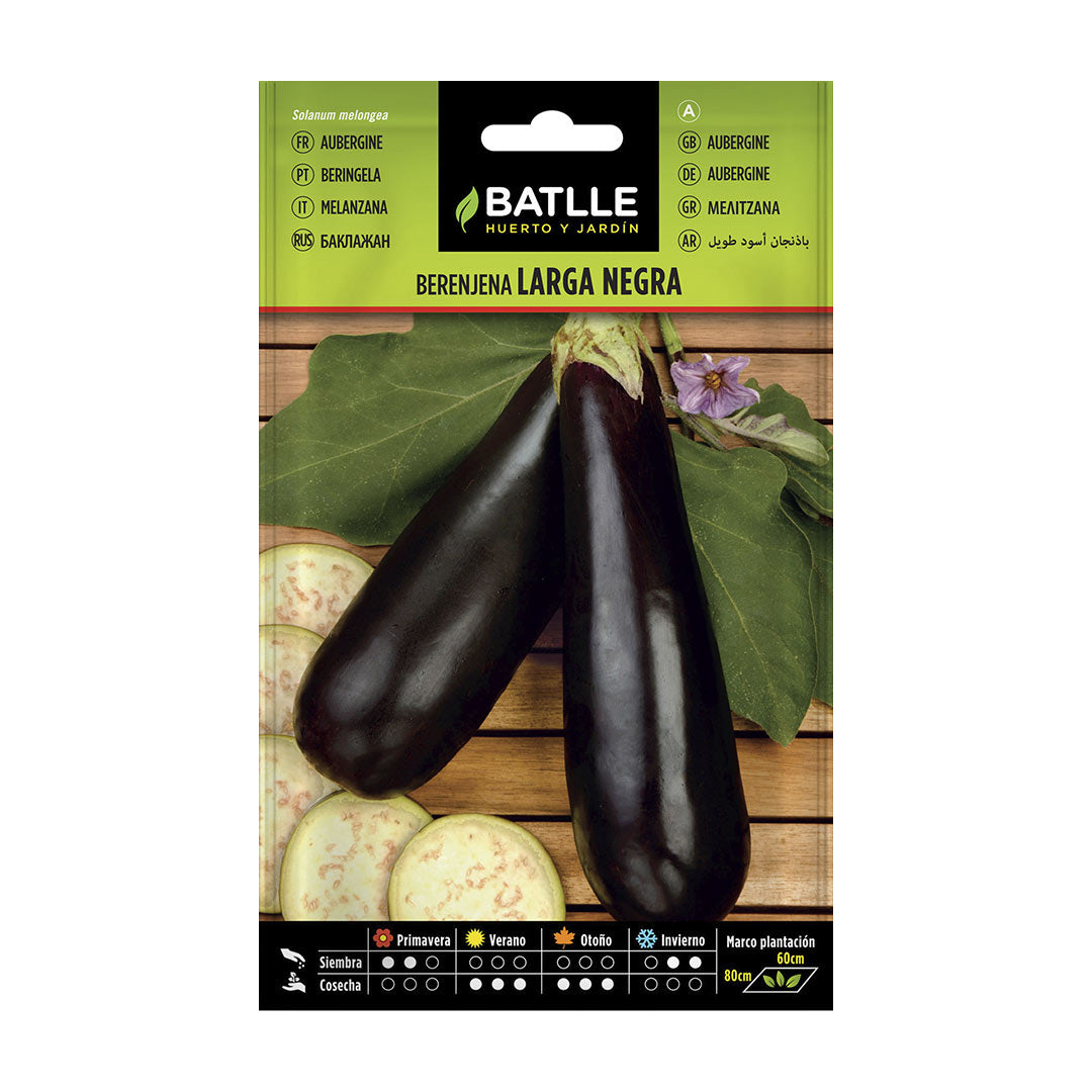 Semilla ecologica berenjena larga morada