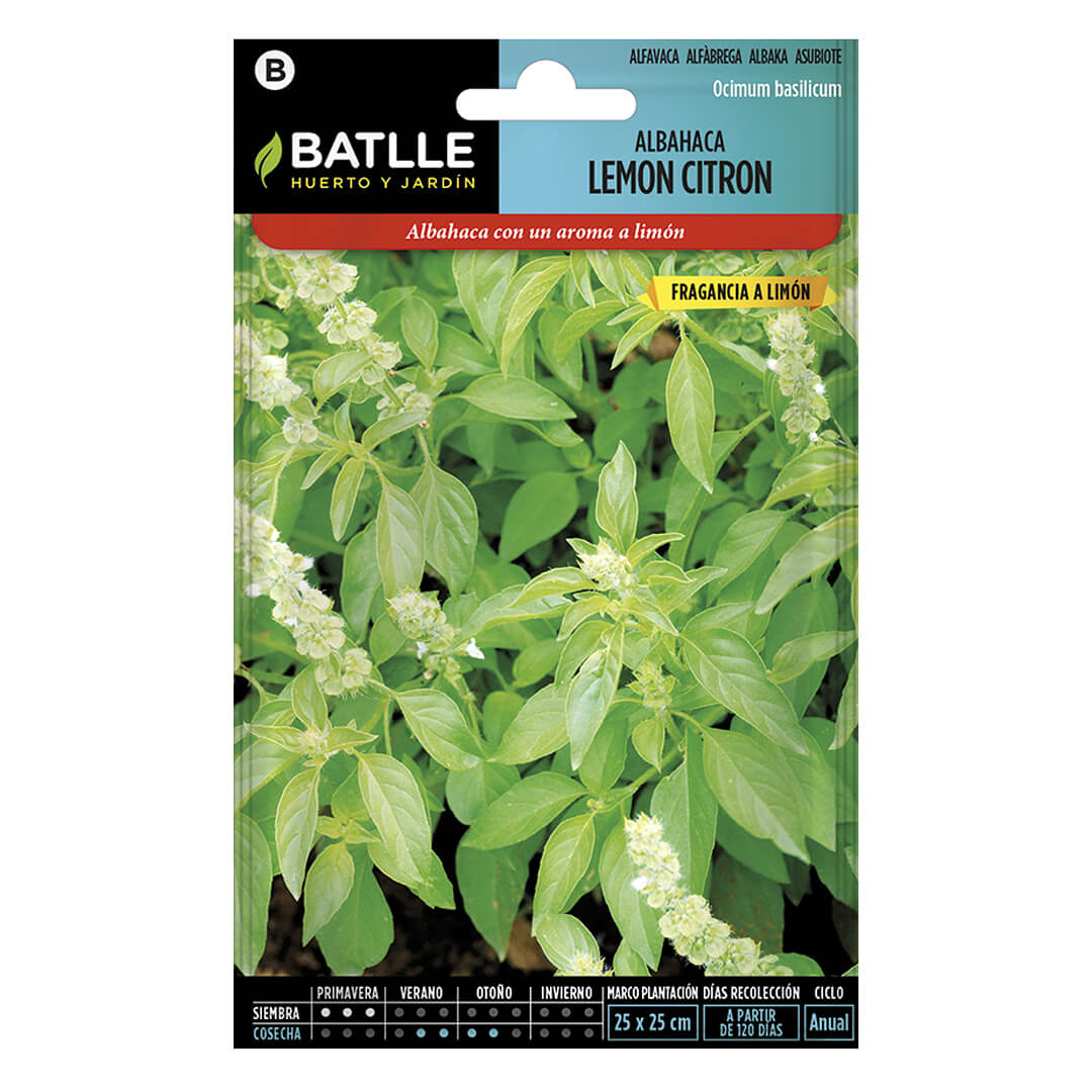 ALBAHACA LEMON CITRON