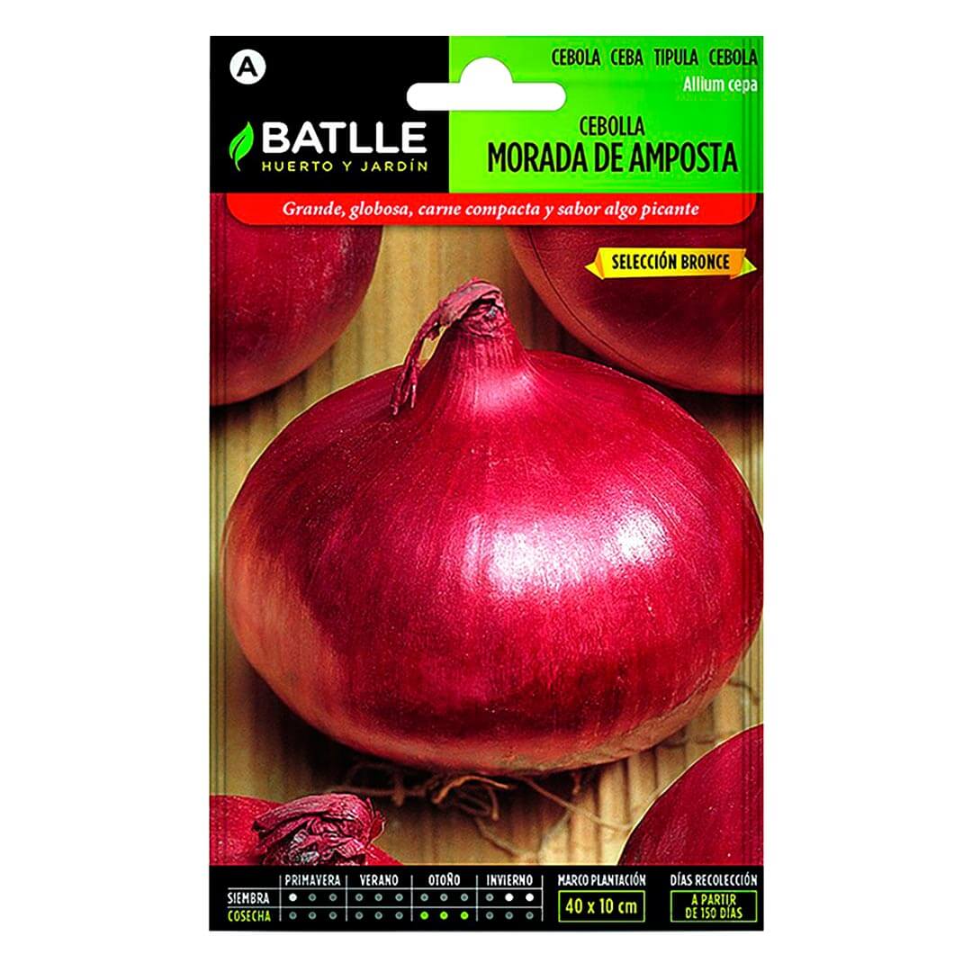 SEMILLA CEBOLLA MORADA AMPOSTA BRONCE 