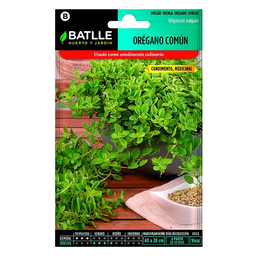 SEMILLA OREGANO