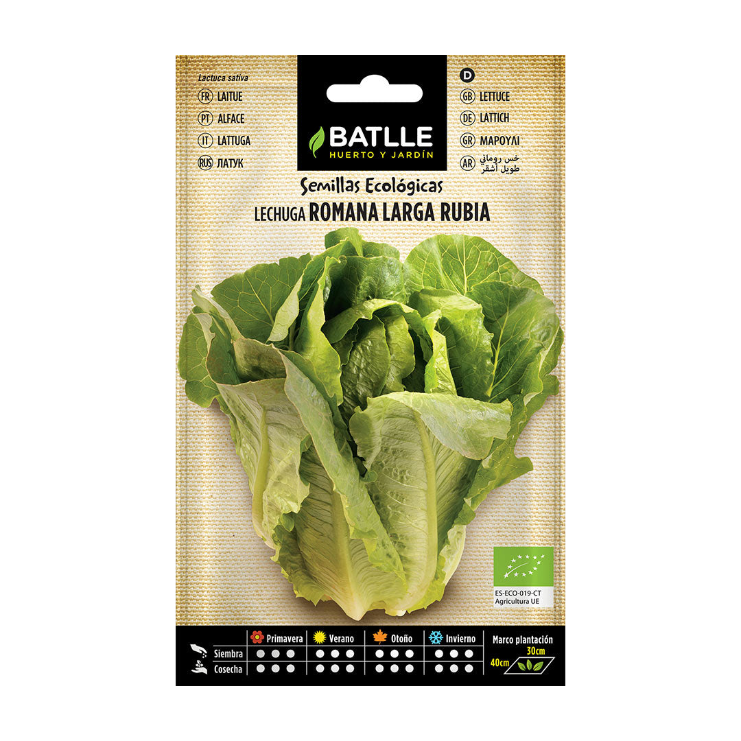 Semilla lechuga romana larga rubia ecologica