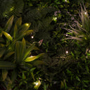 ROLLO JARDIN VERTICAL LIGHTED SAUVAGE 100 X 100