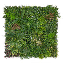 ROLLO JARDIN VERTICAL LIGHTED SAUVAGE 100 X 100