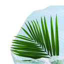 ISOFILM Bubble Wrap 1.2 x 100 m Nortene