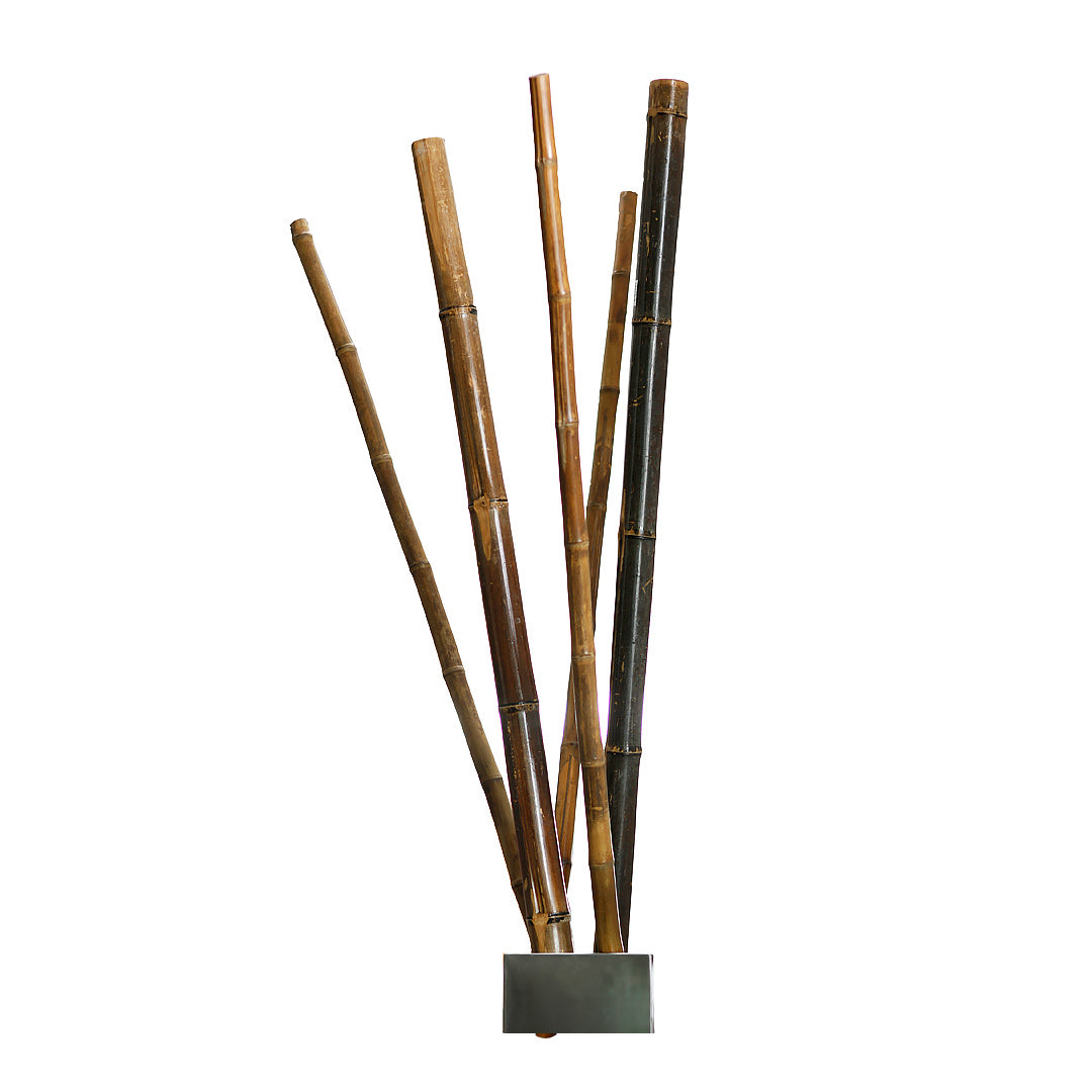 TUTOR DECORATIVO DIAM. 80/90 X 240 CM