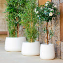 MACETERO MINIMALISTA CAMELIA 40 Ø39X39 CM BLANCO 