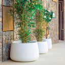 MACETERO MINIMALISTA CAMELIA 80 Ø79X47 CM BLANCO