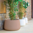 MACETERO MINIMALISTA CAMELIA 80 Ø79X47 CM TOPO