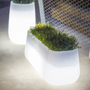 MACETERO MINIMALISTA LUZ LED CON CABLE CAMELIA LARGE 40X98X39 CM