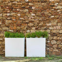 MACETERO RECTANGULAR JUNCO 80 80X32X80 CM BLANCO