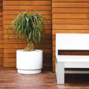 MACETA REDONDA CON AUTORIEGO Ø50X40 CM BASIC 