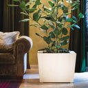 MACETA CUADRADA CON SISTEMA AUTORIEGO Ø60X60X46 CM NATURA ROBLE 