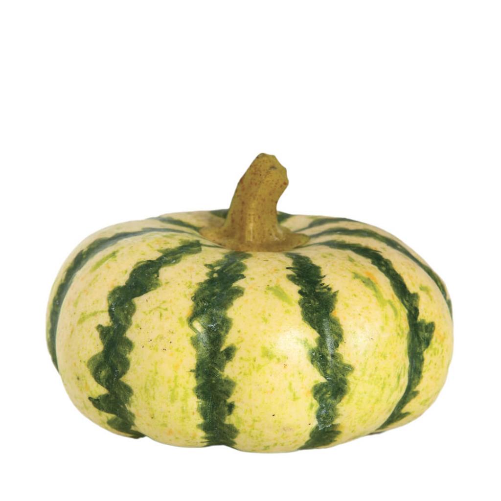 Calabaza decorativa pequeña verde de 10 x 5 cm para decoraciones otoñales y Hallowee