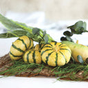 Calabaza decorativa pequeña verde de 10 x 5 cm para decoraciones otoñales y Halloween.