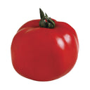TOMATE ROJO