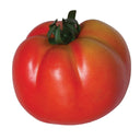 TOMATE RAF