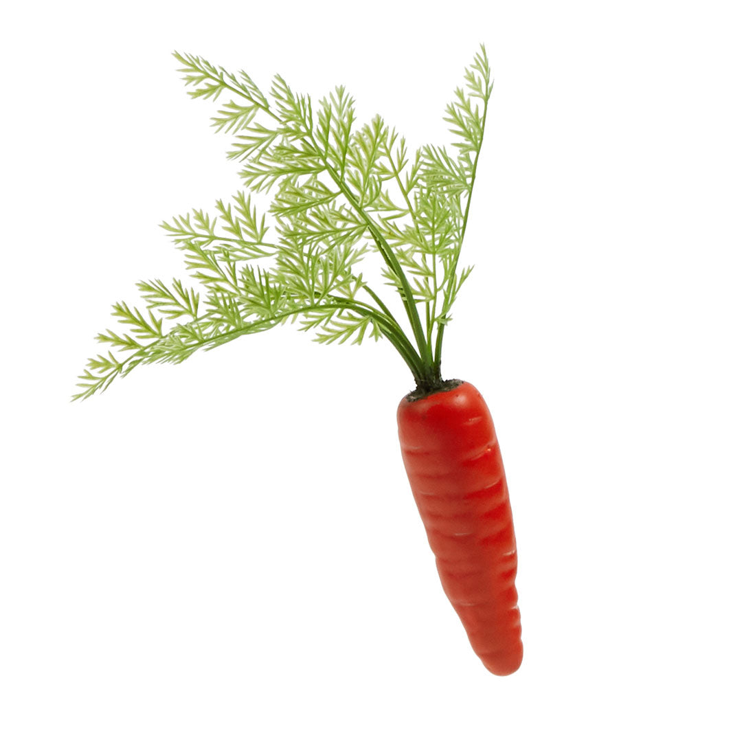 CAROTA