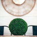 ESFERA DECORATIVA CIPRES COMUN DIAM. 18 CMS