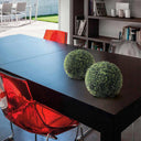 ESFERA DECORATIVA CIPRES COMUN DIAM. 28 CMS