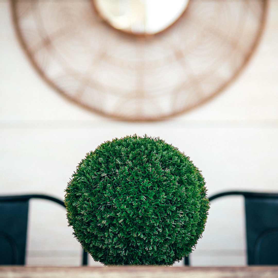 ESFERA DECORATIVA CIPRES COMUN DIAM. 28 CMS