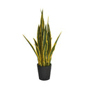 LENGUA DE TIGRE 105 CM BICOLOR