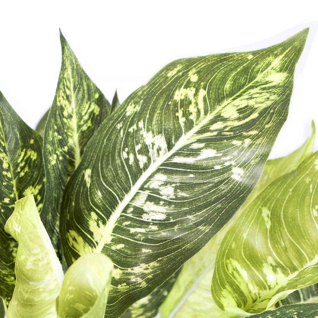 GALATEA LUISAE 49 CM