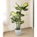 Planta Artificial Pata de Elefante 150 cm, decoración realista de interior con hojas en tonos verdes y macetero estable.
