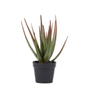 CACTUS ARTIFICIAL ALOE 81 CM