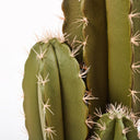 CACTUS ARTIFICIAL ORGANO 120 CM