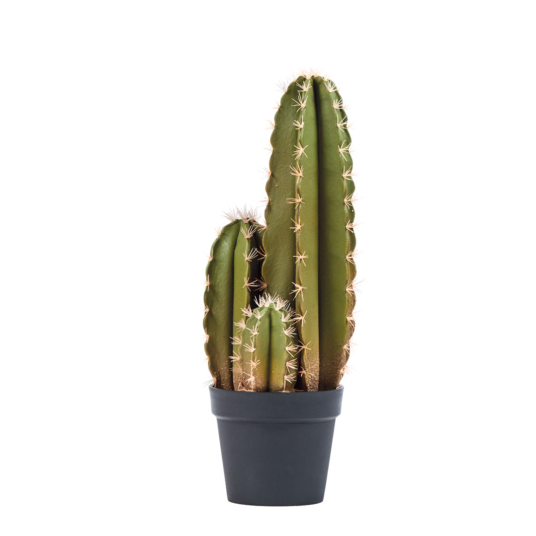 Organe de cactus artificiel 64 cm