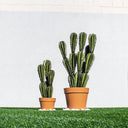 CACTUS ARTIFICIAL EUPHORBIA SUZANNAE 57,5 CM