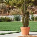 CACTUS ARTIFICIAL EUPHORBIA SUZANNAE 57,5 CM