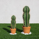 CACTUS ARTIFICIAL STETSONIA CORYNE 43 CM 