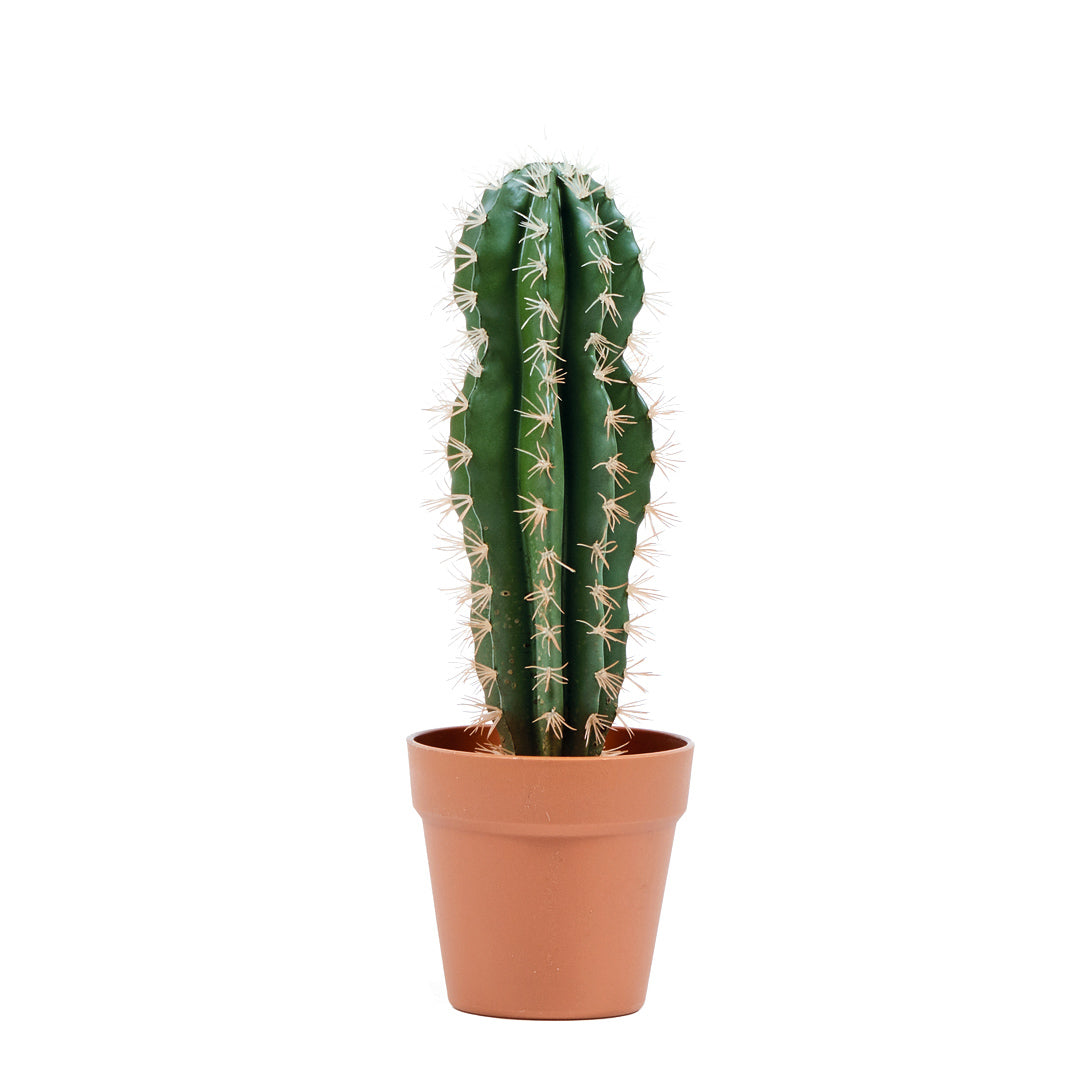 CACTUS ARTIFICIAL STETSONIA CORYNE 43 CM 