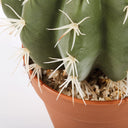CACTUS ARTIFICIAL STETSONIA CORYNE 43 CM 