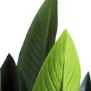 Planta Artificial Ave del Paraíso Flor 185 cm Nortene, decoración realista con grandes hojas verdes y flor amarilla.