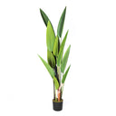 Planta Artificial Ave del Paraíso 188 cm Nortene, decoración realista de interior con grandes hojas en forma de pico.