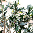 Pianta di ulivo artificiale 150 cm Nortene, realistica decorazione per interni con foglie folte e rami naturali.