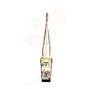 FRAMBUESO AMARILLO - RUBUS IDAEUS 50/60 CM ALTO