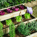 HUERTO 3 CAVIDADES SCALA 113X88X40 CMS